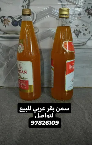 سمن بقر للبيع