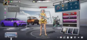Pubg Accounts and Characters for Sale in Al Batinah