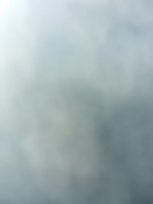 Horses1