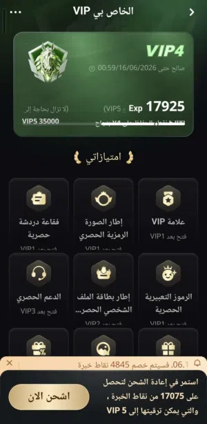 حساب توب توب vip4