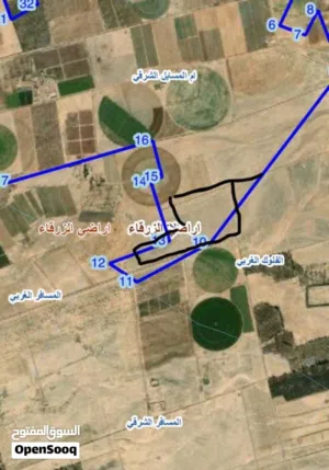 Farm Land for Sale in Zarqa Azraq