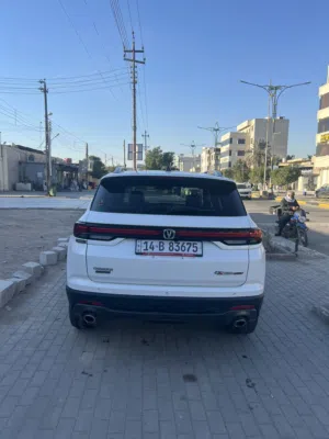 جانجان استيراد اكويتي خليجي اصل