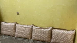 كنبات جلوس ارضيه