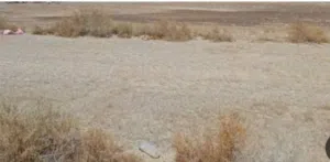 Residential Land for Sale in Abu Dhabi Khalifa City