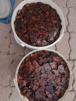 تمر خلاص نظيف للبيع