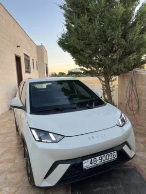 Used BYD Seagull in Amman