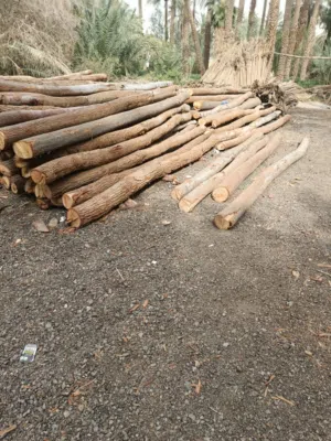 #اثاث اخشاب