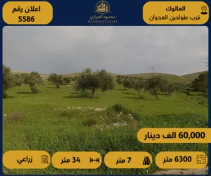 Farm Land for Sale in Zarqa Al-Alouk