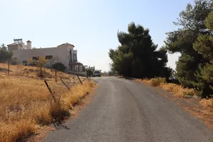 Residential Land for Sale in Amman Badr Jdedeh