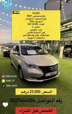 Changan 2024