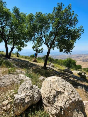 Farm Land for Sale in Salt Al Balqa'
