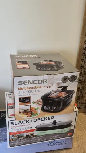 multi functional fryer and hot pot