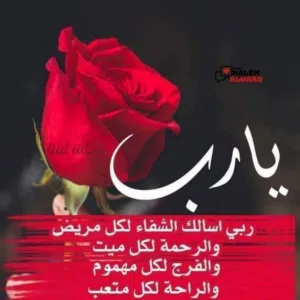 عمر احمد