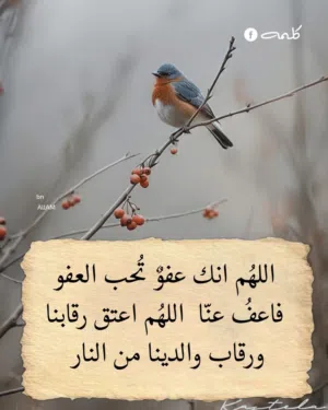 قطعة أرض للبيع