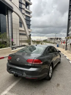 Passat كاش فقط