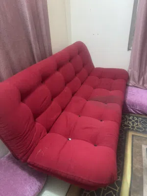 شازلوته صير جربايه وصير قنفه