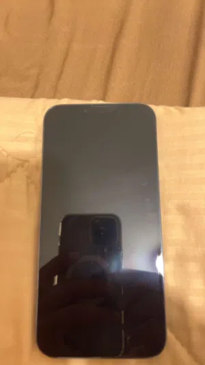 Apple iPhone 13 Pro Max 256 GB in Amman