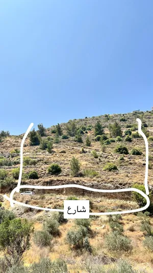 Mixed Use . 1000 m2 . Landlord4