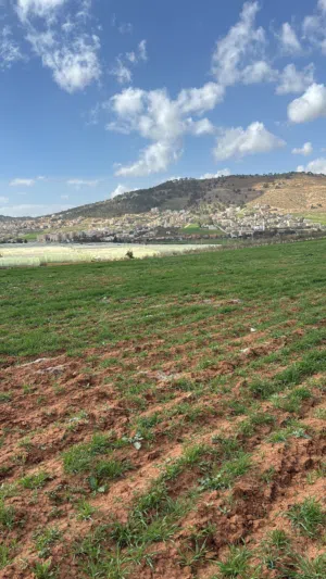 Mixed Use Land for Sale in Amman Abu Nsair