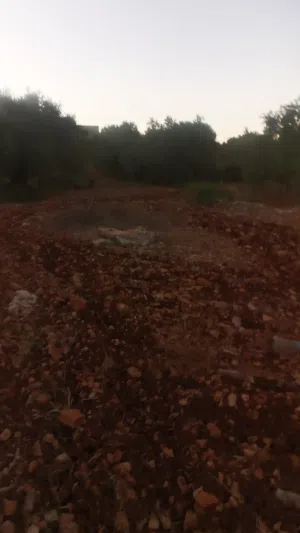 ارض طابو للبيع في جيوس