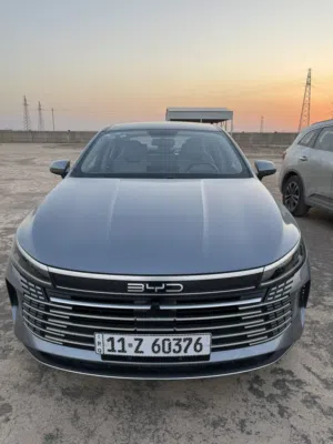 بي واي دي دستروير