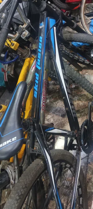 bicycle for sale very good condition all ok cool blue white shad