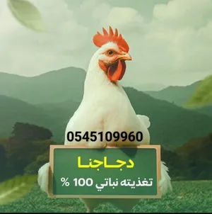 ‏لحوم‏3