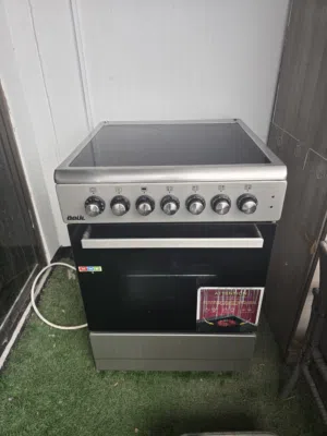 Electric oven