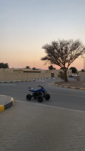 بوجي ‏جميع الفئات ‏2025 ‏250 - 499 سي سي