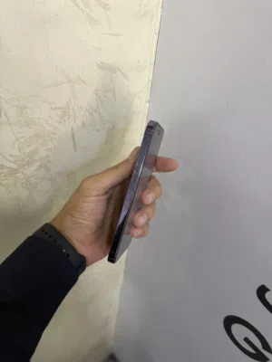 14 pro max
