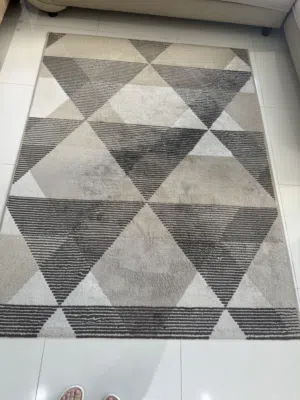 Stain resistant modern rug in affordable price