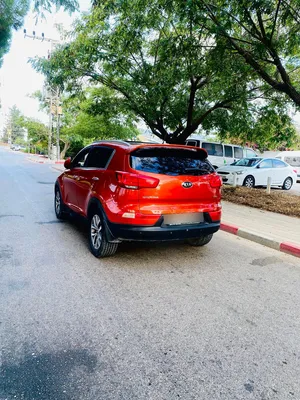 امين-جبر-ابو-ركان