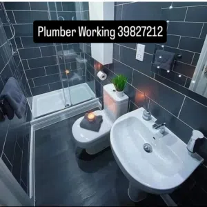 Plumber and Electrical home services 24/7