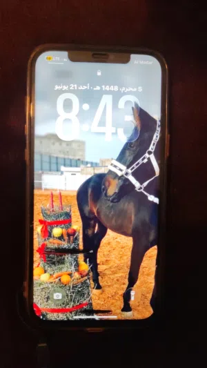Apple iPhone 12 Pro Max 256 GB in Tripoli