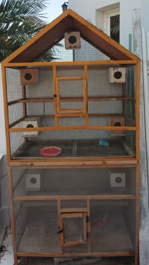 للبيع قفص الطيور طابقين