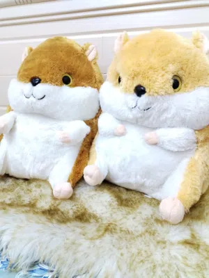 Hamster teddy