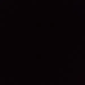 أحمد الرياني 