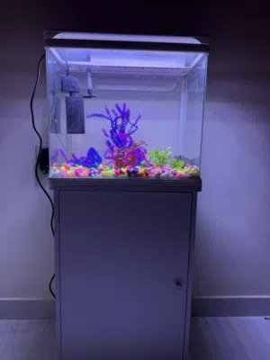 حوض سمك مع جميع اغراضه