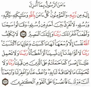شقة في مشروع الهضبة خط واحد عمارة نظيفة بالاسنساير بالكود وبركيدجو خاص بالعمارة