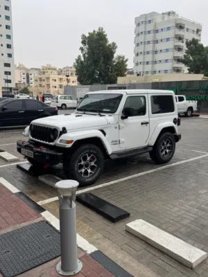 جيب       اقتصادية
