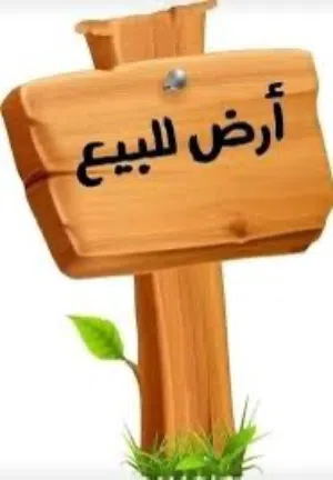 ارض في البيابصه