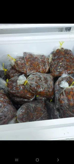 يوجد تمر للبيع من عدة أصناف زبد وبرني ونغال وخلاص وخنيزي وخصاب وحنضل