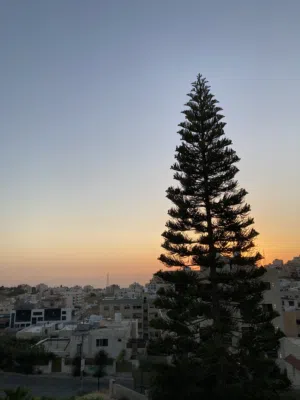 896 m2 More than 6 bedrooms Villa for Sale in Amman Marj El Hamam