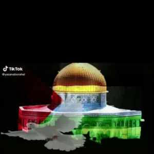 مهاب العكرماوي