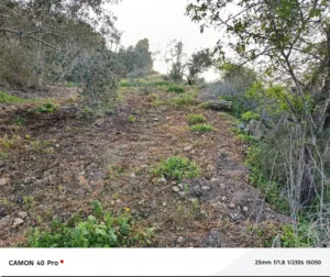 Farm Land for Sale in Tulkarm Ramin