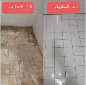 شركه تنظيف وتعقيم شامله