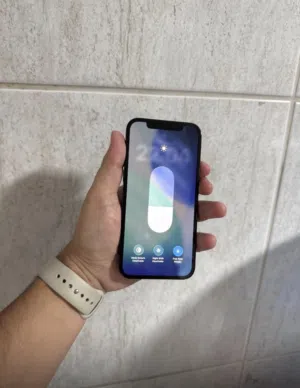 12 pro max 256 gb