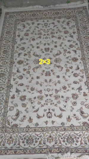 أثاث المنزل (السجاد، المراتب والوسائد، أجهزة التلفزيون، طاولات التلفزيون، إلخ).