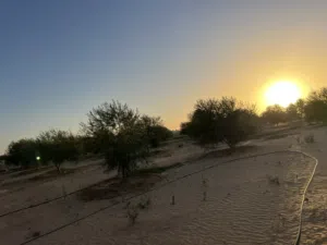 4000 م كزيوني