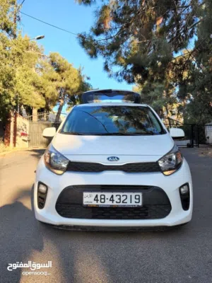 بيكانتو 2020 للايجار في داخل العقبة فقط